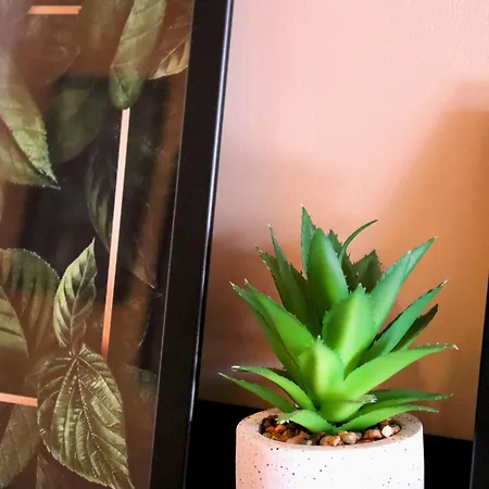 Green Cozy And Central 1bdrm Апартаменти